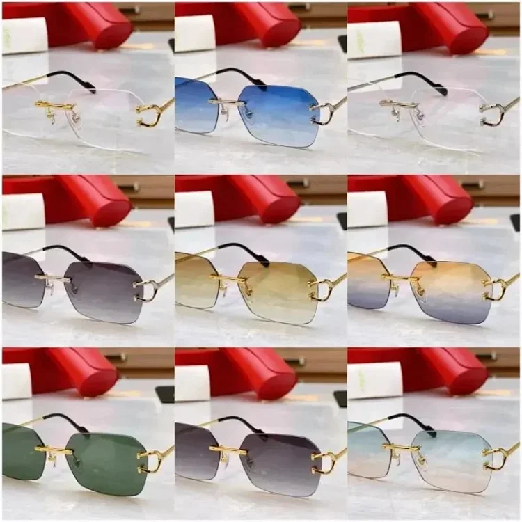 sunglasses 7402629692